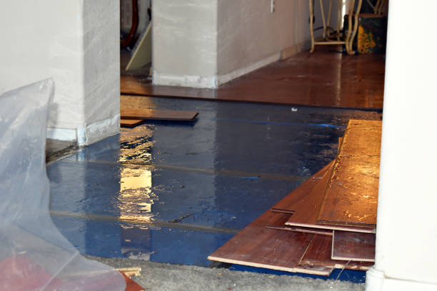 Professional Basement Flood Cleanup technician working in Rosemount, OH